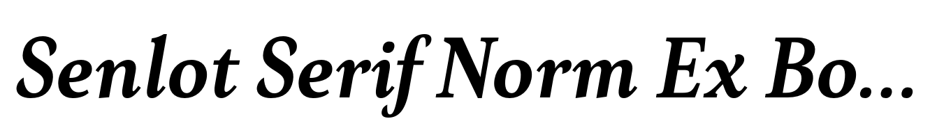 Senlot Serif Norm Ex Bold Italic